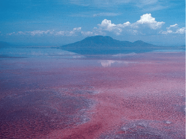 Lake Natron in Tansania.png